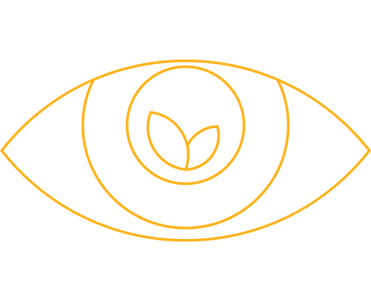 PAKCSYS Icon Achtsamkeit: Auge mit Pflanze