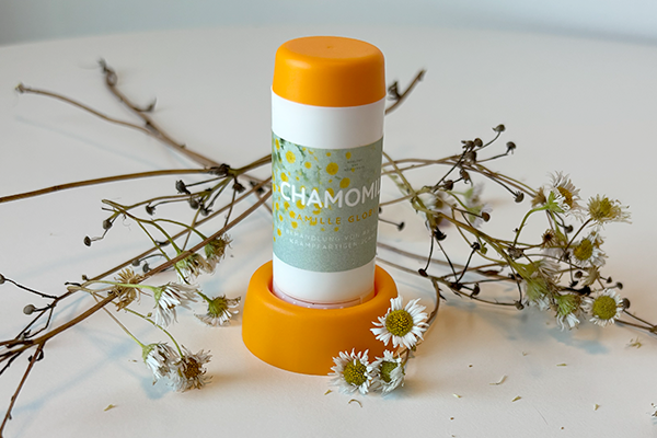 Team vor Bergkulisse