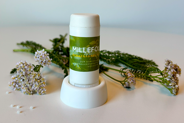 Team vor Bergkulisse