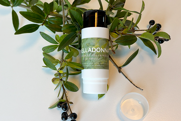 Team vor Bergkulisse